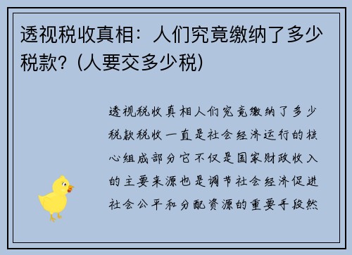 透视税收真相：人们究竟缴纳了多少税款？(人要交多少税)